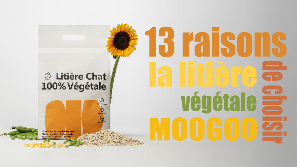 13 Raisons pour choisir la litière Moogoo
