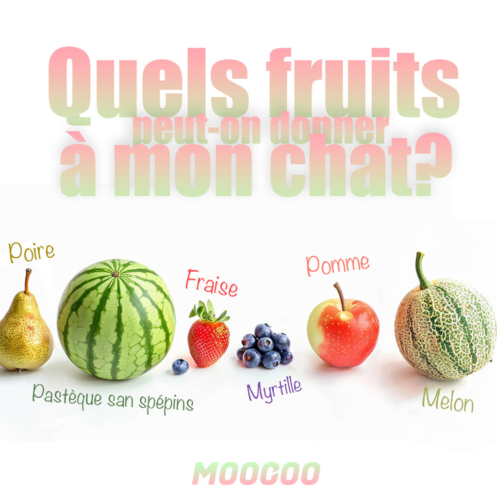 Quels fruits peut-on donner à mon chat?