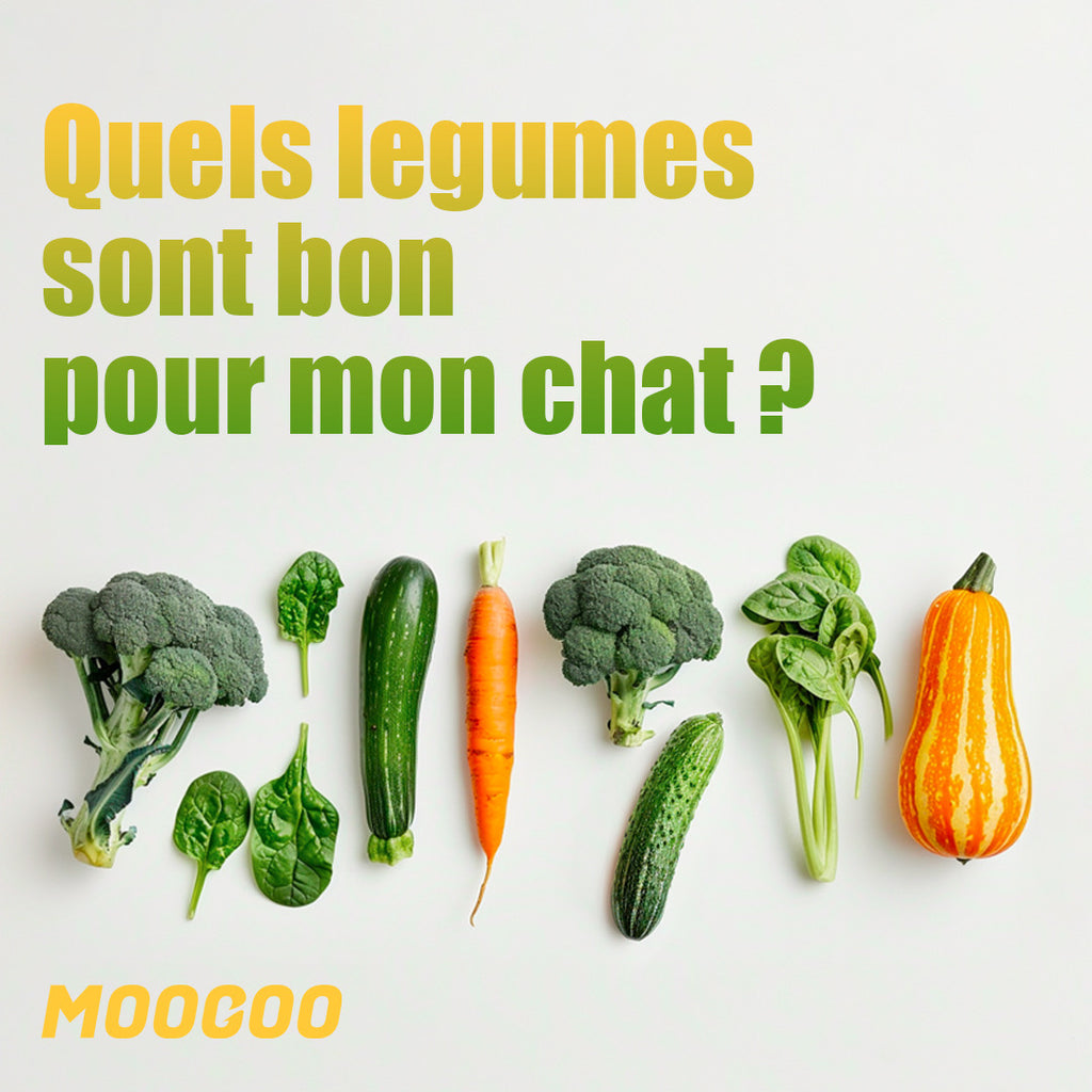 Quels légumes sont bon pour mon chat?