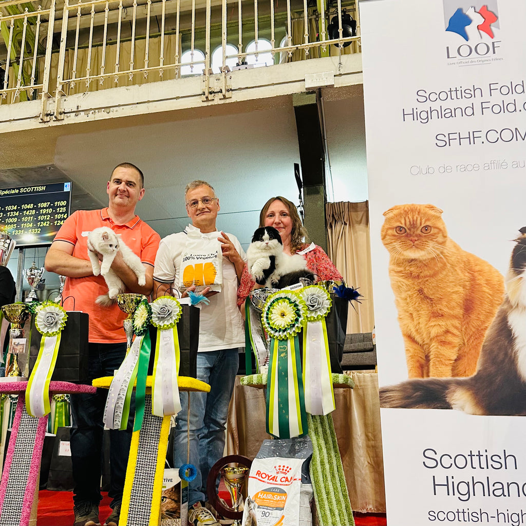 Moogoopet | Récap-Salon du chat Pavillon Baltard le week-end du 15 juin