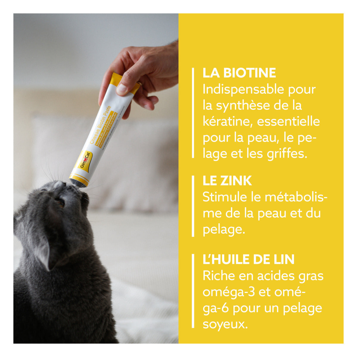 GimCat -  Pâte pour chat Fromage Biotine 200g
