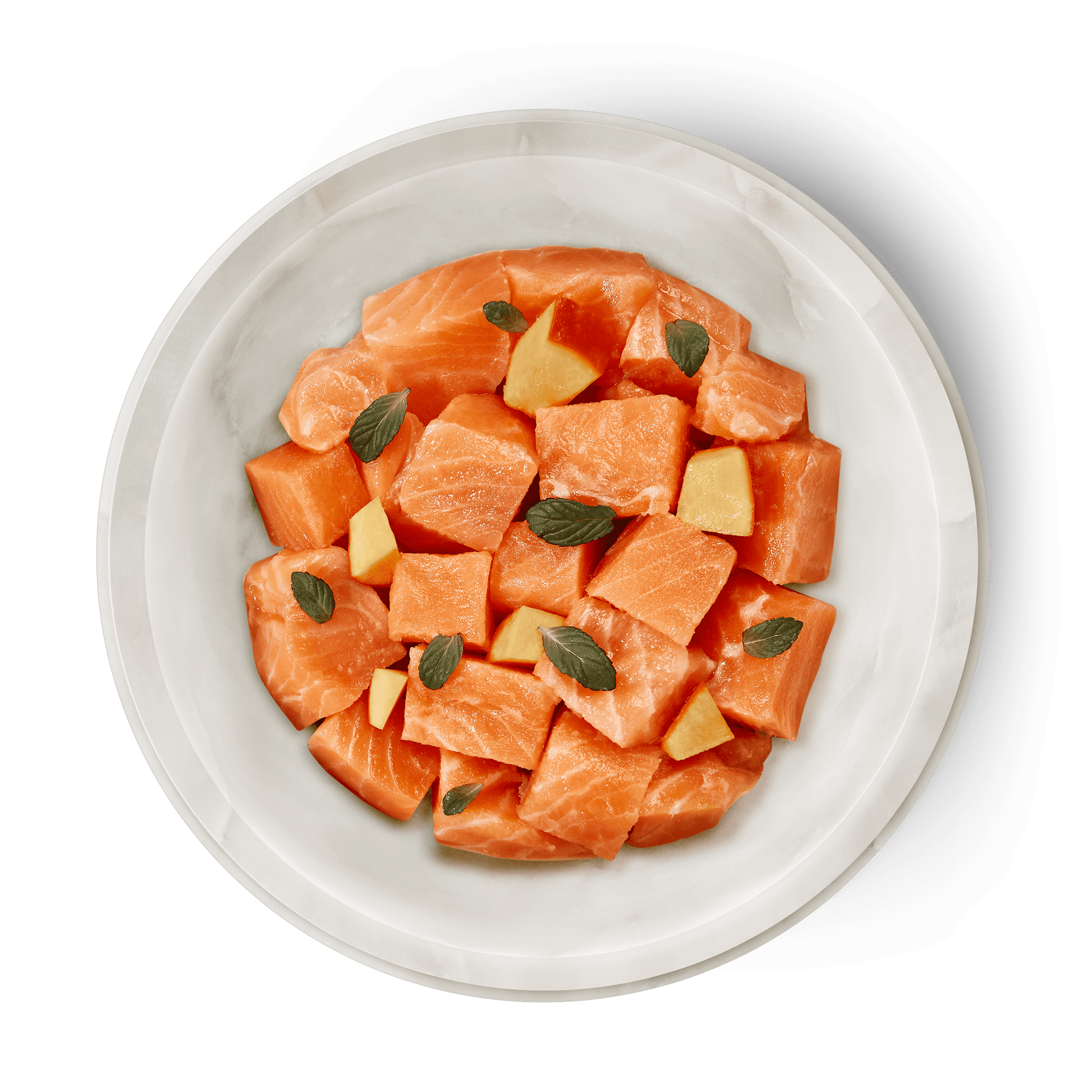Filet de saumon, courgette