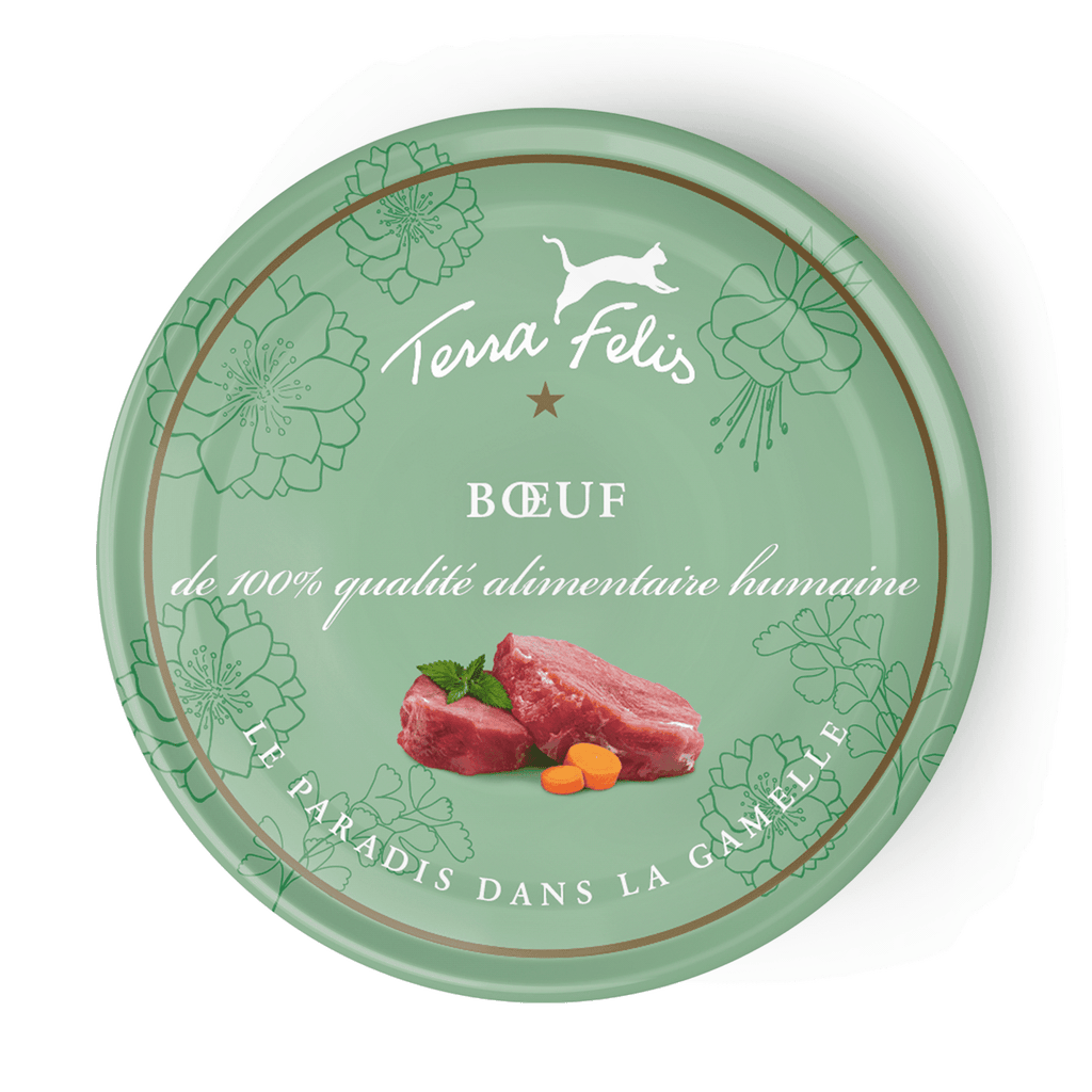 TERRA FELIS - Pâtée Bœuf pour chat 80g