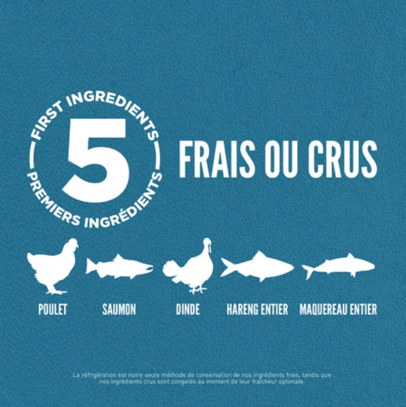 ORIJEN- GUARDIAN 8 croquettes complètes pour chats 1.8kg