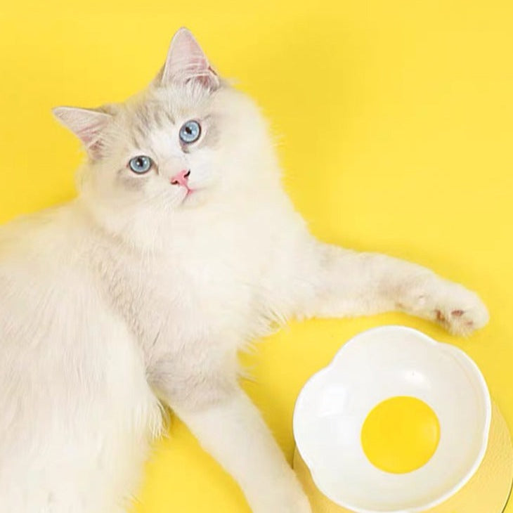  Un chat mangeant dans le bol en forme de fleur Miaoho