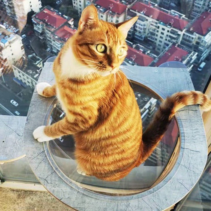 Vue d'ensemble du Perchoir de fenêtre Joycat  